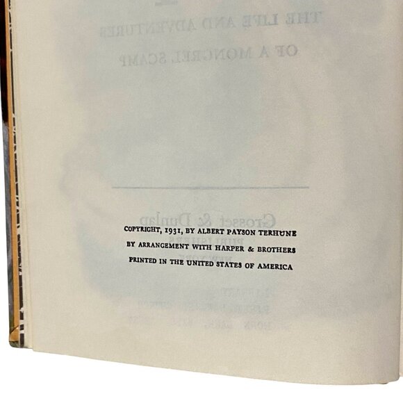 A Dog Named Chips The Life and Adventures of a Mongrel Scamp HC Book Terhune - Picture 5 of 8